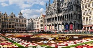 Брюксел - Килим от цветя, със самолет и обслужване на български език