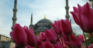 Екскурзия в ТУРЦИЯ- Фестивал на лалетата - Истанбул /3 нощувки/ от Плевен и Ловеч