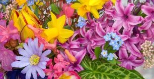 Септемврийски празници в Барселона - Коста Брава - със самолет, на български език!